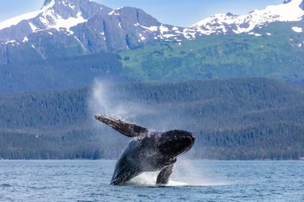 Juneau, Aljaška (USA)