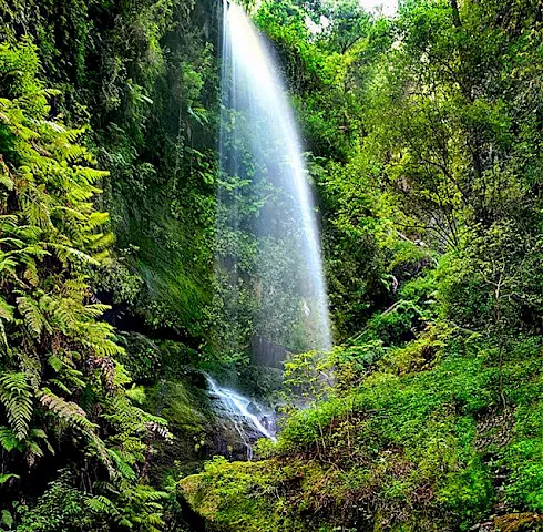 La Palma, Španělsko